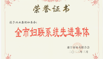 喜報！興業(yè)集團婦委會榮獲“全市婦聯(lián)系統(tǒng)先進集體”榮譽稱號