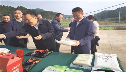 市委常委、政法委書記劉波濤帶隊(duì)調(diào)研指導(dǎo)定點(diǎn)幫扶村鄉(xiāng)村振興工作